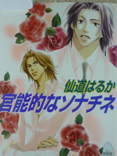 官能的なソナチネ　仙道はるか(著)